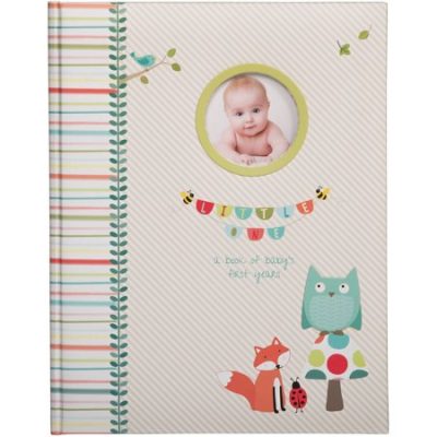 Walmart – Stepping Stones by C.R. Gibson Banner Baby’s Keepsake Memory Book Only $8.26 (Reg $15.99) + Free Store Pickup