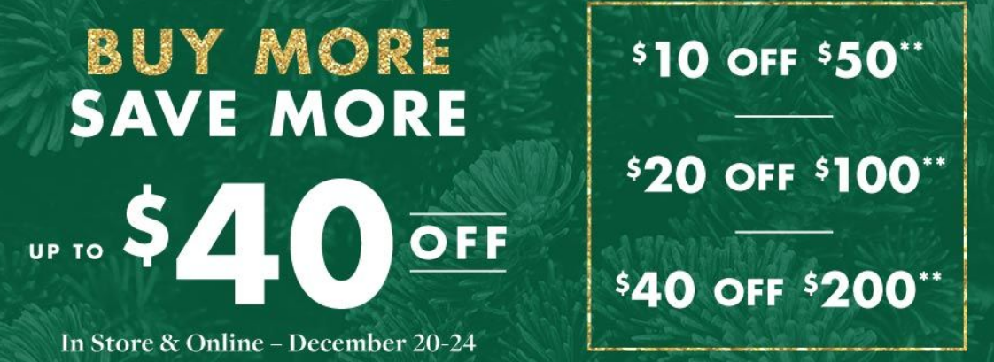 Big Lots – Receive Up To $40 Off Your Entire Purchase w/Code + BOGO 50% Off Sale